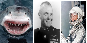 Shark Tales:  JFK, Mercury 7 astronauts and shark repellents